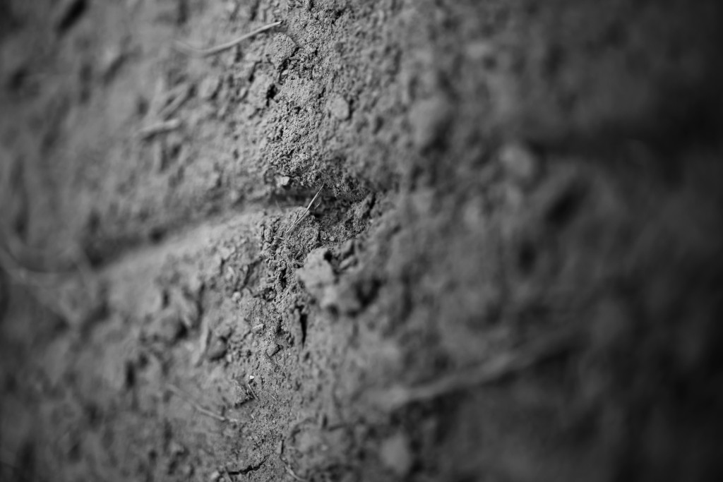 bipolar disorder, line in the dirt, macro photography